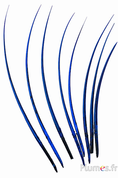 Gans schacht - 25-30 cm - blauw-zwart